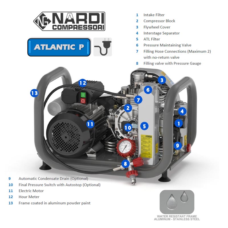 Atlantic P Component Illustration