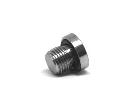 Hex Socket Plug w/ O-Ring