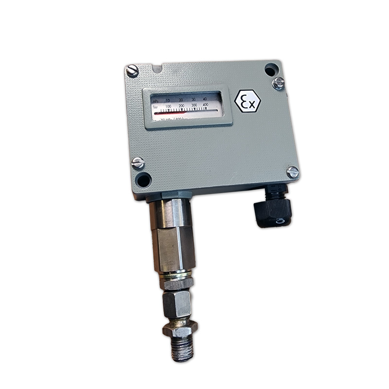 Coltri MCH24 CNG Pressure Switch · 1–10 bar