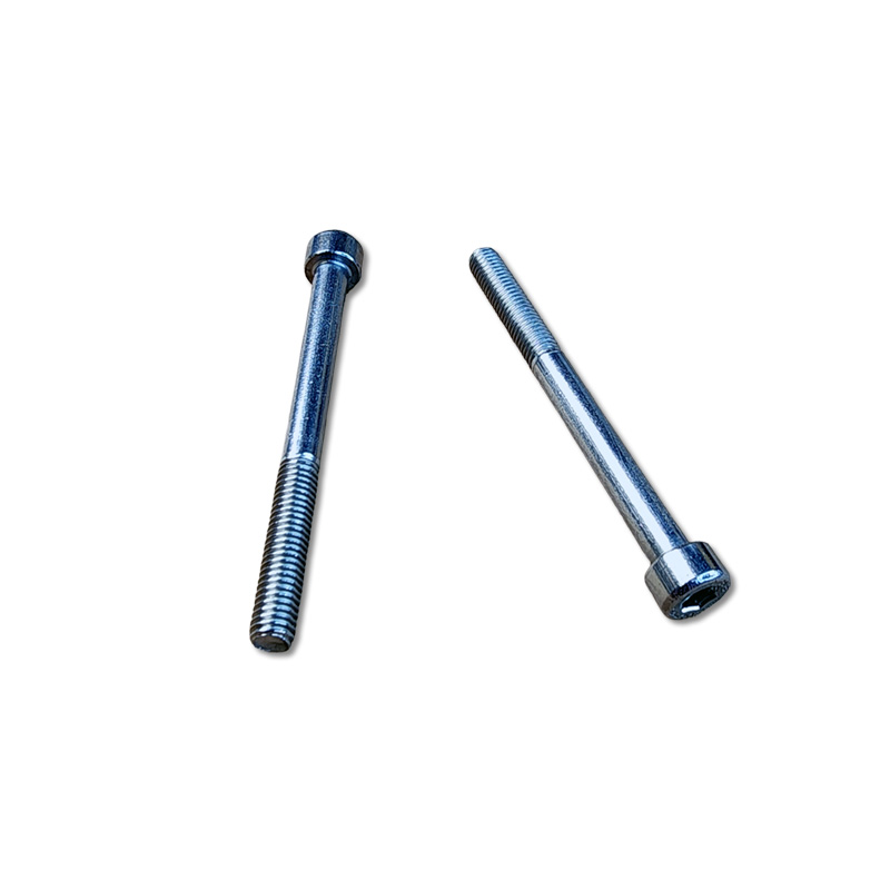 Coltri 5x55 SHCS Stainless Screw